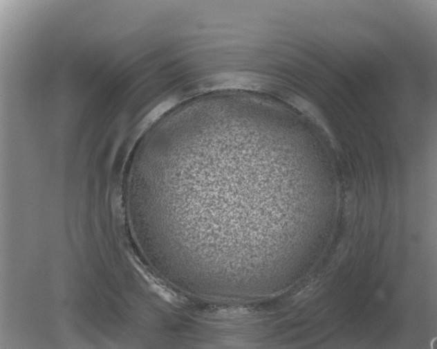 X0000080200882200612152037