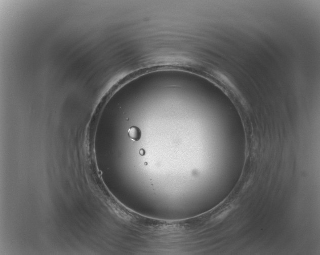 X0000080200883200612152037