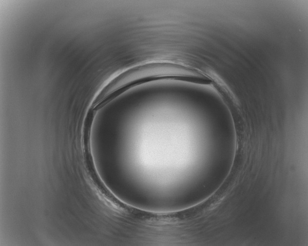 X0000080200884200612152037