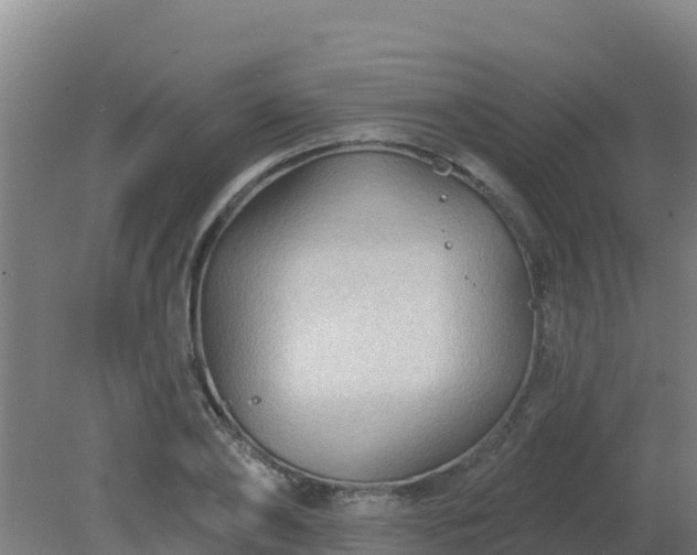 X0000080200886200612152037