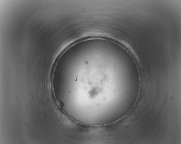 X0000080200887200612152037