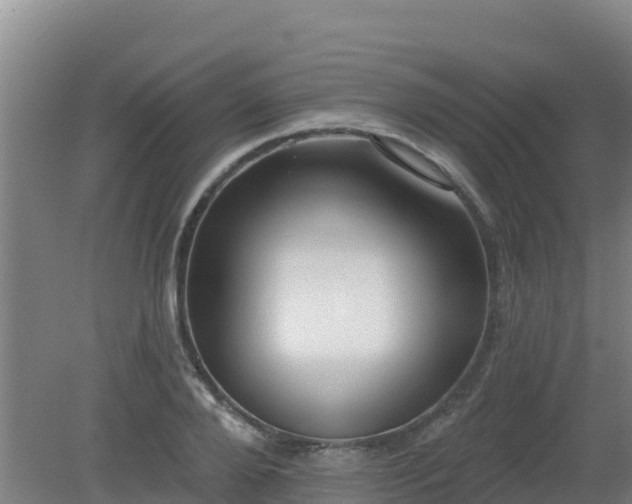 X0000080200888200612152037