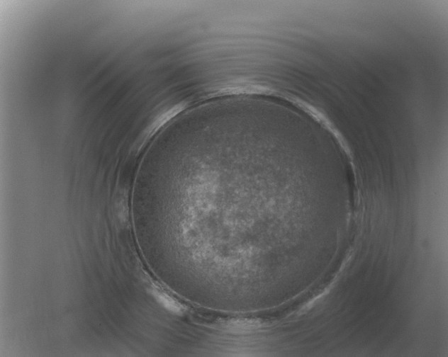 X0000080200889200612152037