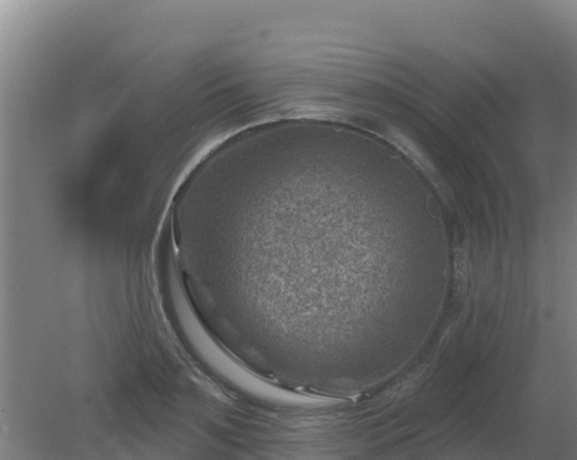 X0000080200891200612152037