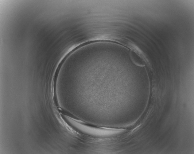 X0000080200892200612152037