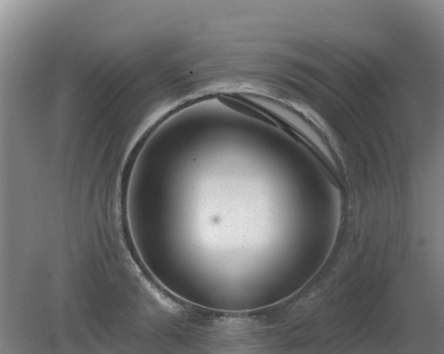 X0000080200894200612152037