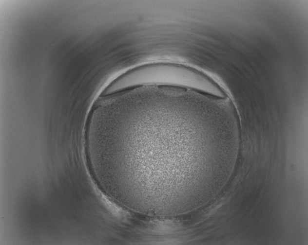 X0000080200895200612152037