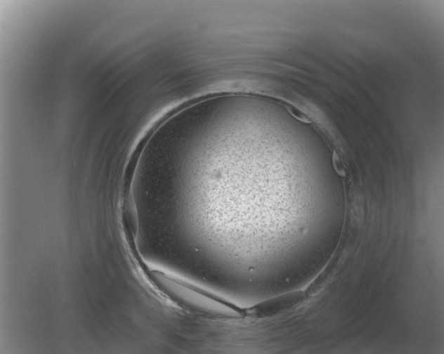 X0000080200896200612152037