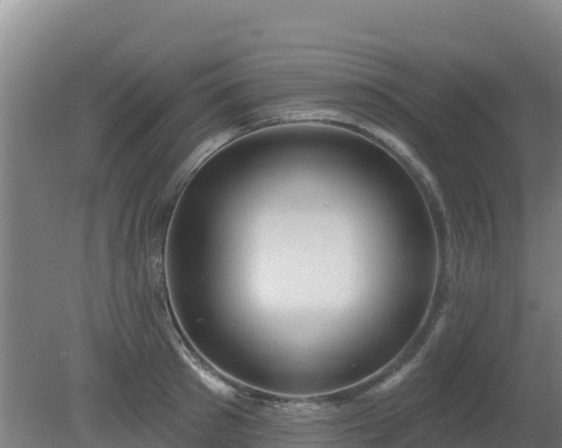 X0000080200897200612152037