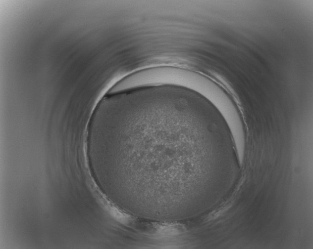 X0000080200899200612152037