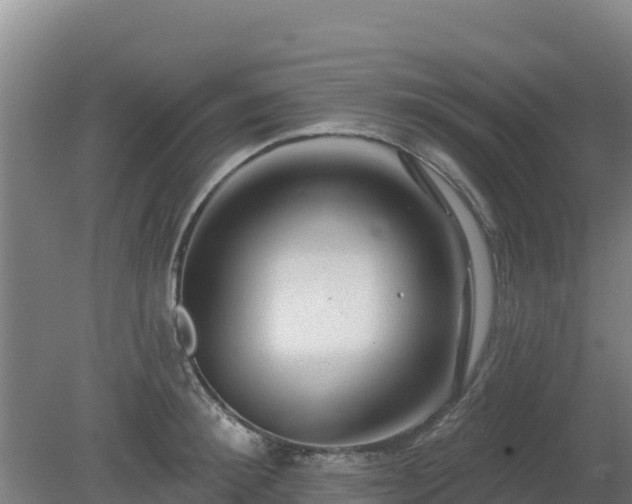 X0000080200900200612152037