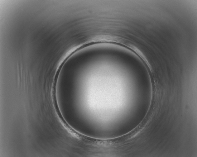 X0000080200901200612152037