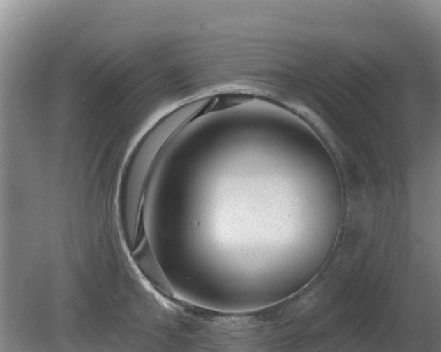 X0000080200902200612152037