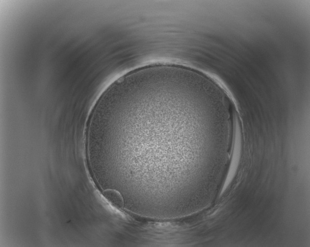 X0000080200903200612152037