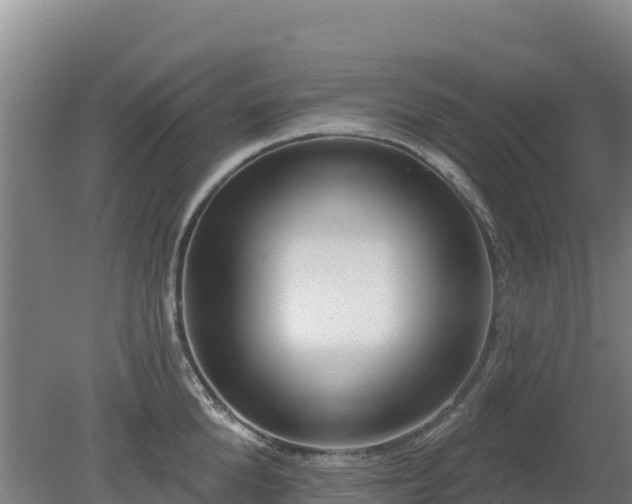 X0000080200904200612152037