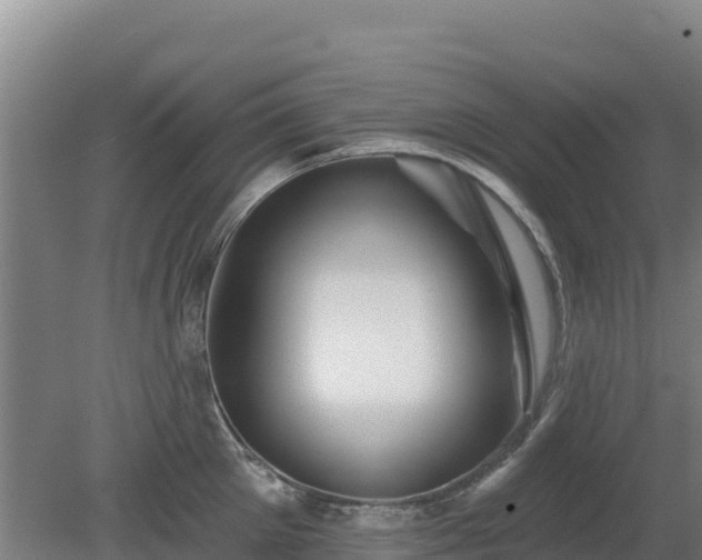 X0000080200905200612152037