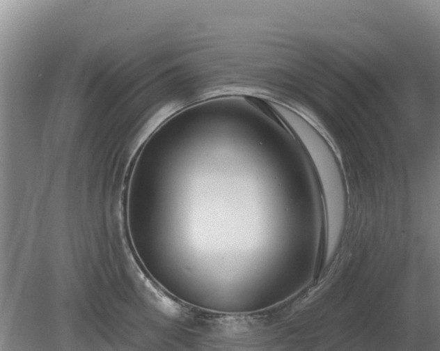 X0000080200906200612152037