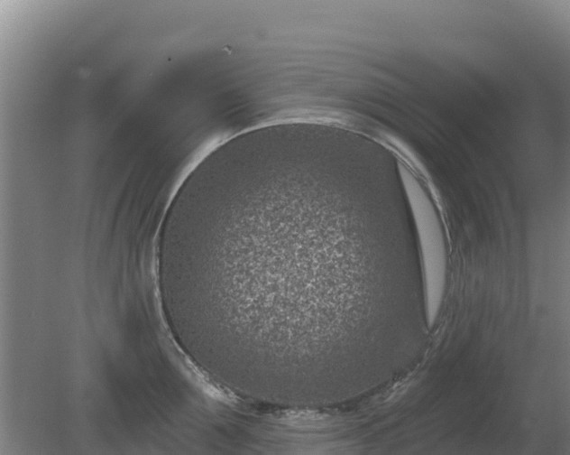 X0000080200907200612152037