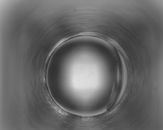 X0000080200908200612152037