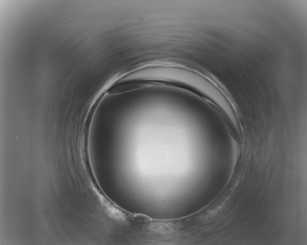 X0000080200909200612152037