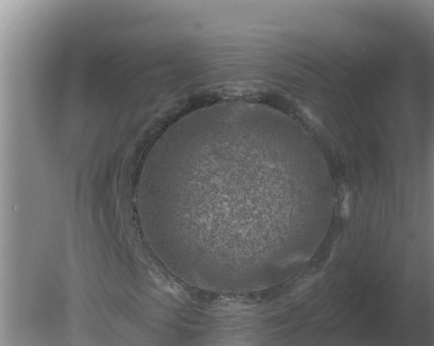 X0000080200913200612152036