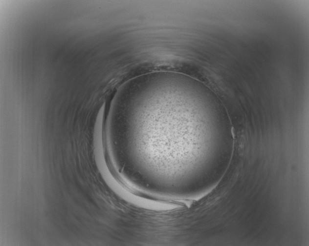 X0000080200916200612152036