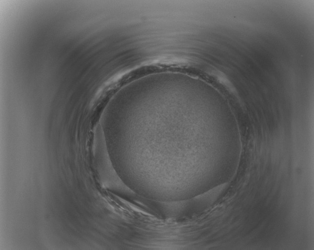 X0000080200920200612152036