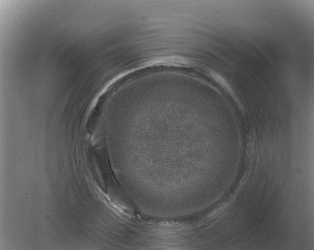 X0000080200923200612152036