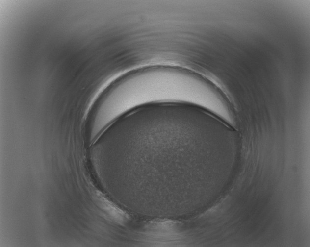 X0000080200926200612152036