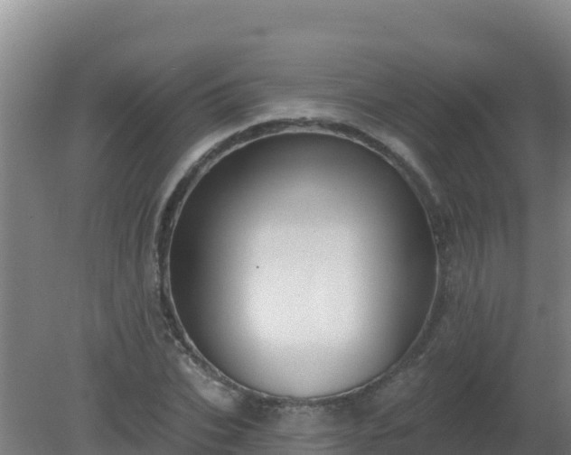 X0000080200927200612152036