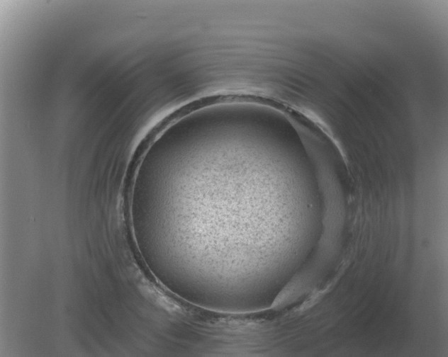 X0000080200928200612152036