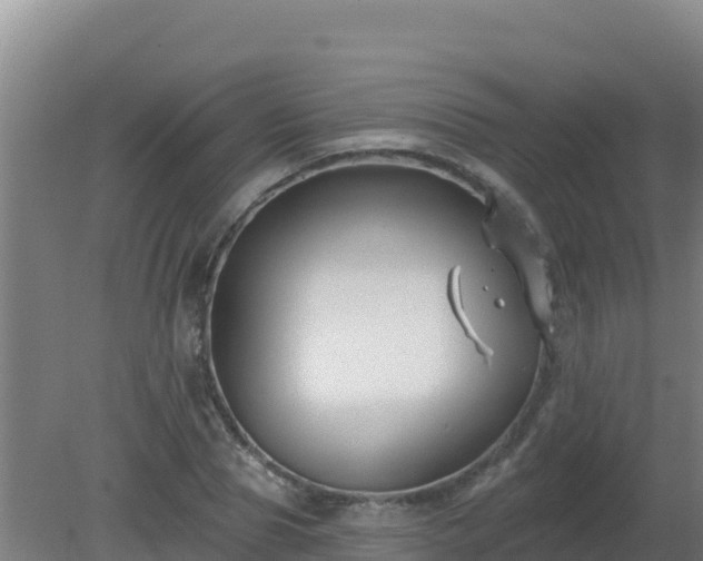 X0000080200929200612152036