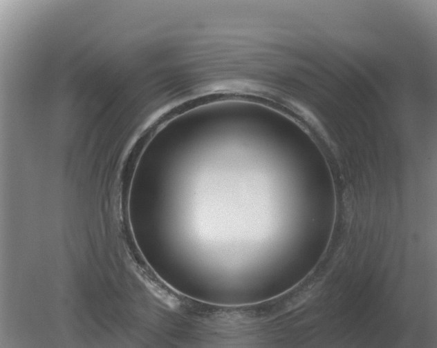 X0000080200931200612152036