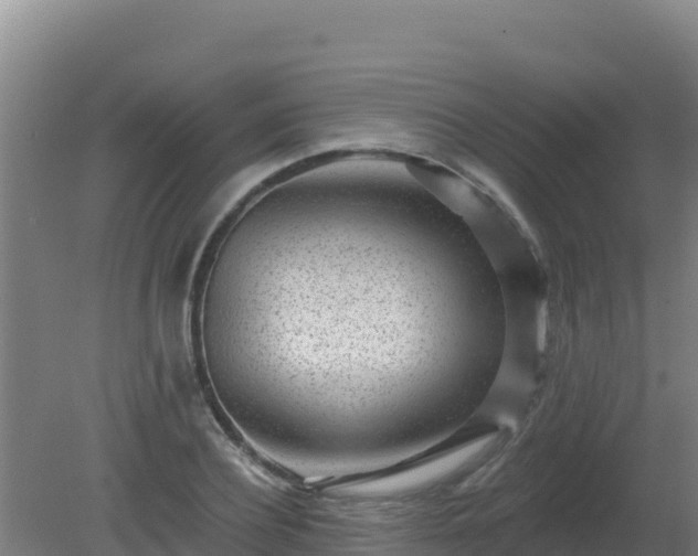 X0000080200932200612152036