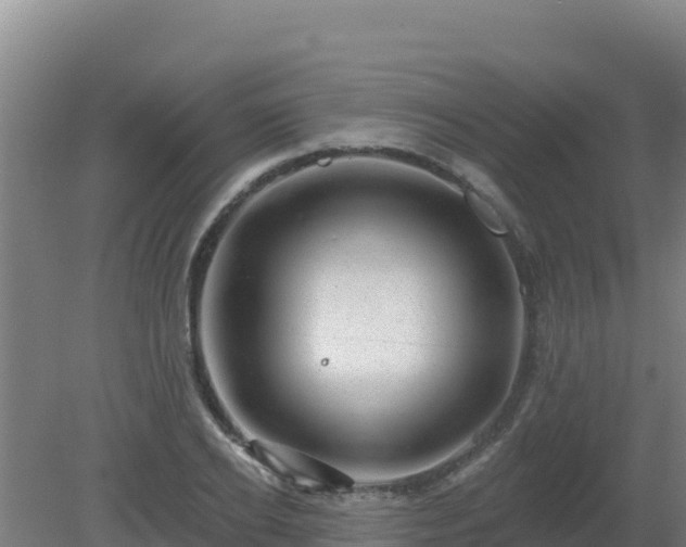 X0000080200934200612152036