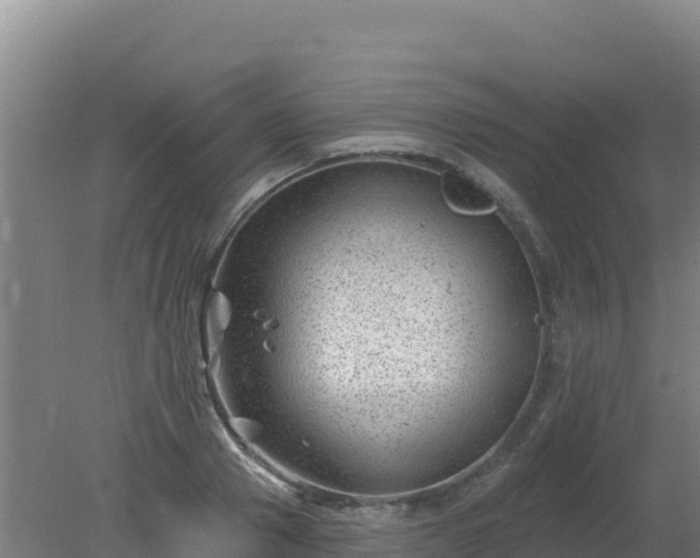 X0000080200937200612152036