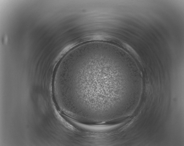 X0000080200938200612152036