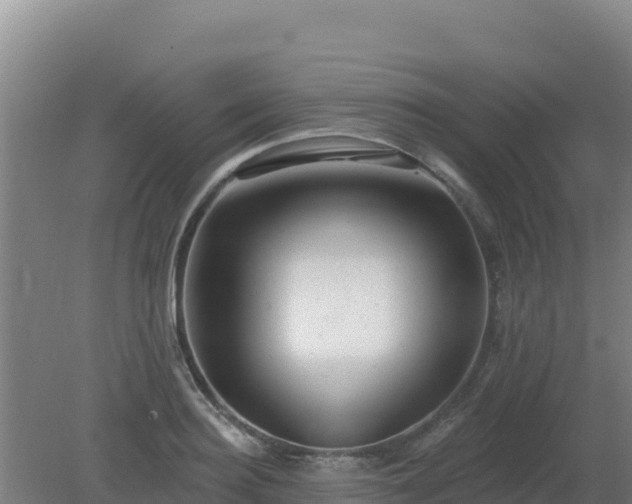 X0000080200940200612152036