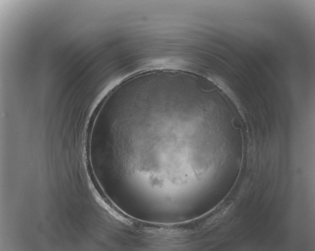 X0000080200941200612152036