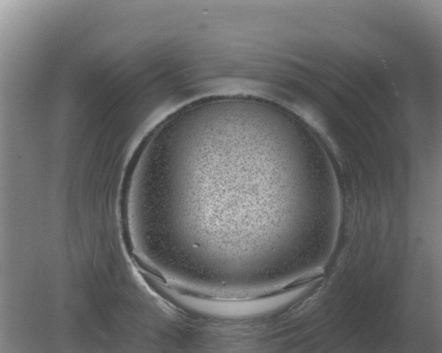 X0000080200943200612152036