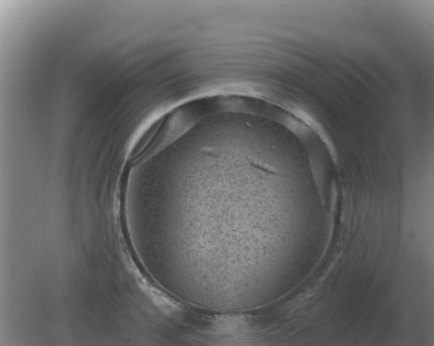 X0000080200944200612152036