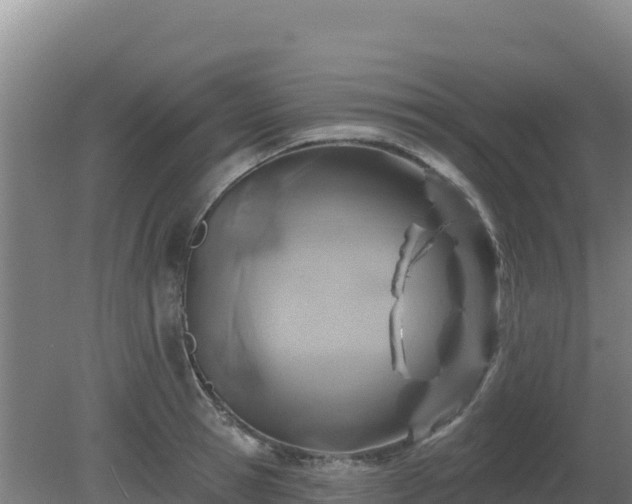 X0000080200945200612152036