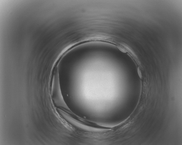 X0000080200948200612152036