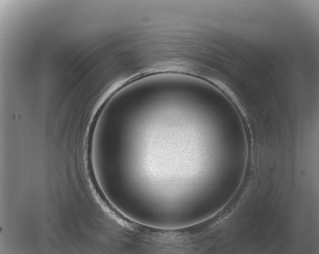 X0000080200949200612152036