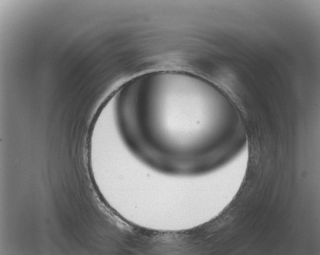 X0000080200950200612152036