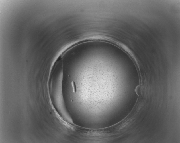 X0000080200951200612152036