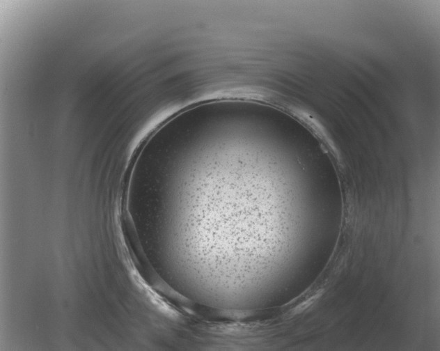 X0000080200952200612152036