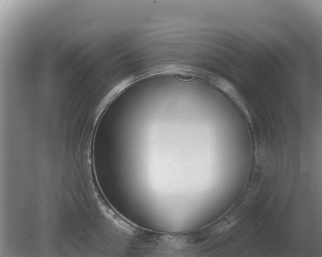 X0000080200954200612152037