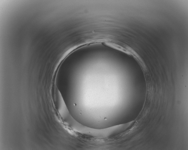 X0000080200956200612152037