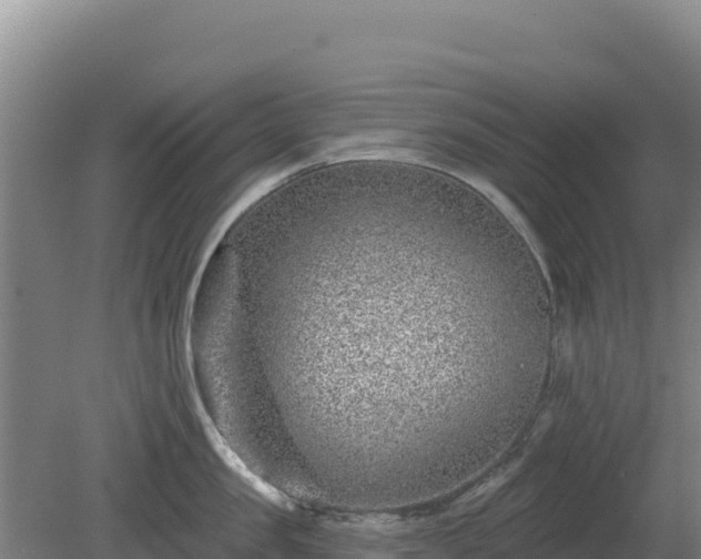 X0000080200957200612152037